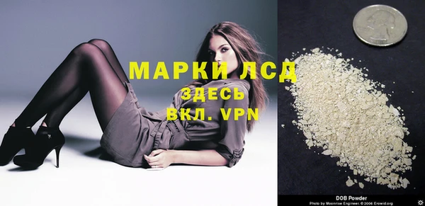 хмурый Аркадак