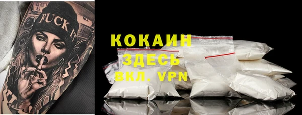 хмурый Аркадак