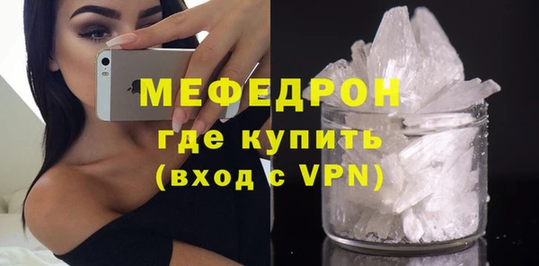 хмурый Аркадак