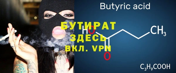 хмурый Аркадак