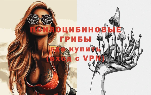 мет Новодвинск