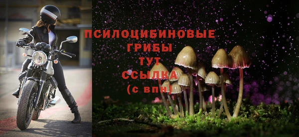 мет Новодвинск