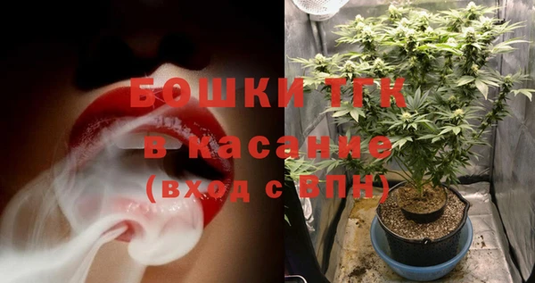 ГАЛЛЮЦИНОГЕННЫЕ ГРИБЫ Новозыбков
