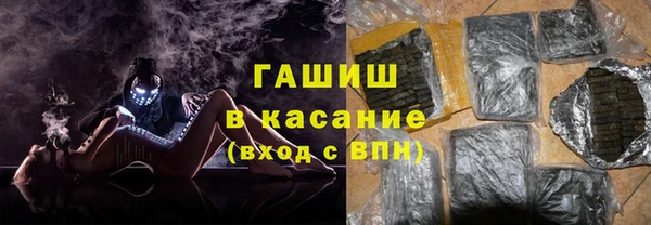 хмурый Аркадак