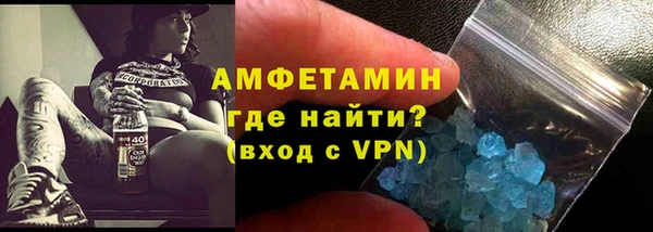 хмурый Аркадак