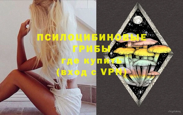 дмт Новокубанск