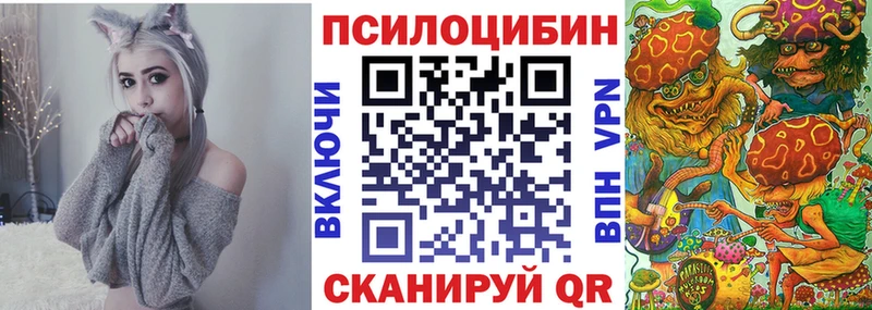 Купить где Боровичи Псилоцибиновые грибы Psilocybe
